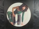 KATE BUSH The Kick Inside /Limited Edition Picture Disc LP UK 1979 EMI EMCP 3223