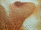 Pink Floyd Meddle Vinyl Record LP UK 1971 Harvest Gfold A1U/B1U NM