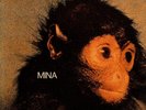 Mina - Mina (Vinyl LP - 1971 - IT - Original)
