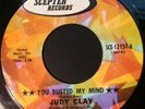 Judy Clay - You Busted My Mind (7