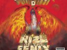 Tenacious D Rize of the Fenix (Vinyl) 12