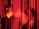 Peter Gabriel - In The Big Room (Vinyl 2LP - 2026 - US - Original)