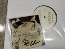 SIGNED Racing Mount Pleasant - Grip Your Fist, I'm Heaven Bound VV Vinyl IN HAND