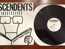Descendents“Everything Sucks” Color Vinyl LP PURPLE nofx lagwagon offspring