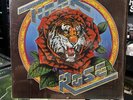 Robert Hunter - Tiger Rose 1975 White Label Promo Copy Vinyl LP
