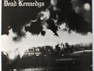 Dead Kennedys Fresh Fruit for Rotting Vegetables EX Vinyl LP Album Rock 1980