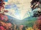 Tame Impala - Innerspeaker (2010  2020), Lim. special anniversary box ed. 4LP