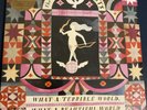 The Decemberists - What a Terrible World: What a Beautiful World [New Vinyl LP]