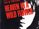 Nick Drake Heaven In A Wild Flower An Exploration of Nick Drake LP vinyl Canada