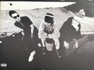 Beastie Boys Check Your Head 2xLP USED