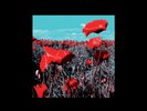 Black Submarine New Shores (Vinyl) 12