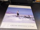 Pinback Blue Screen Life RSD Blue Splatter Double Vinyl LP