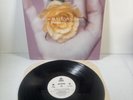 Madonna Lp 12” Bedtime Story 1995