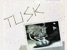 CAMPER VAN BEETHOVEN - Tusk - 2xLP Record Store Day Color Vinyl NEW  RSD 2026
