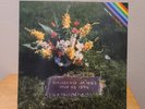 Aphex Twin Richard D. James Girl/Boy E.P. Album Vinyl LP Record
