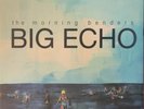 The Morning Benders - Big Echo *RARE* 1st PRESS 2010 - BRAND NEW SEALED (M) LP R
