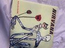 Nirvana Incesticide Vinyl