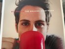 Ben Rector The Walking in Between LP Vinyl 1st Pressing 2013 OK Kid Records