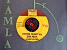 Brenda Holloway Starting the hurt all over again/Just look what you've done EX