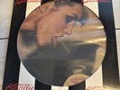 BLONDIE Parallel Lines ORIGINAL 1978 USA PICTURE DISC VINYL LP Chrysalis 90069