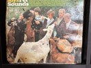 The Beach Boys: Pet Sounds 1966 Original L.A. Press MONO Vinyl LP T-2458 s