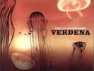Verdena - Solo Un Grande Sasso (2xLP) (Mint (M))