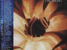VINYL Morphine - The Night