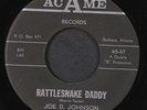 JOE D. JOHNSON: rattlesnake daddy / t for thelma ACAME 7