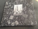 Flux of Pink Indians - Strive LP (Punk Rock Crass) SPIDERLEG RECORDS 1983
