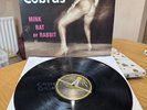 Mink Rat or Rabbit [Lp] by The Detroit Cobras (Vinyl Record, 2016)