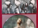 In Flames - Reroute To Remain - Original First Press PICTURE LP 2002