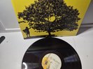 Jack Johnson – In Between Dreams (2005) LP Vinyl – NEAR MINT – RARE OG PRESSING