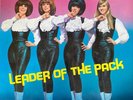 The Shangri-Las - Leader Of The Pack, LP, (Vinyl)