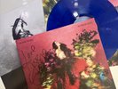 Jessie Ware - Superbloom Signed Cover Peacock Blue vinyl