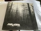 The Cure – A Forest 12