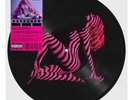 Madonna Confessions II Picture Disc LP Grindr Limited Edition Presale