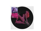 Madonna Confessions 2 GRINDR exclusive. Picture Disc 12 Song Mix PREORDER