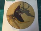 Parliament   Motor Booty Affair   Vintage Picture Disc LP  Casablanca NBPIX 7125