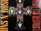 GUNS N ROSES 