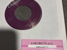 Megadeth Capital 45 Jukebox Strip A Secret Place / Trust 45 NM