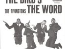 THE RIVINGTONS-PICTURE SLEEVE + 45-(THE BIRD'S THE WORD)--PS--PIC--SLV