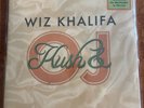Wiz Khalifa Kush & Orange Juice 2xLP (Record, Sealed, 2020)