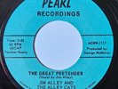 Jim Alley and the Alley Cats - The Great Pretender   Pearl     Ex