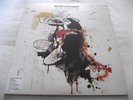 PETER DOHERTY   GRACE/WASTELANDS ** 2009 EU PARLOPHONE LP