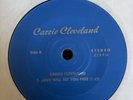Carrie Cleveland Love Will Set You Free V Rare Single Sided 7” No Label