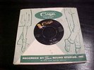THE FLAMES 45 Cuca 1960's GARAGE ROCK  The Bird - Worthless  Sauk City WISCONSIN