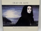 Dead or Alive Mad Bad and Dangerous to Know 1986 NM Vinyl Record LP