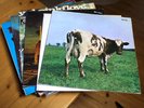Atom Heart Mother Vinyl  Pink Floyd  (Schallplatte) + 5 weitere LP´s