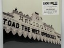 Toad the Wet Sprocket Welcome Home: Live 2LP Vinyl RSD 2025 Sealed