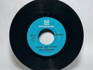THE WINSTONS: Color Him Father/Amen, Brother 1969 45 RPM 7” Vinyl Metromedia